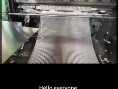 15mm Swm X 30mm Lwm 독특한 디자인을 위한 철강 확장 금속 장판